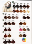 Bremod Hair Color Cream